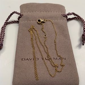 Gold David Yurman necklace (no charm)